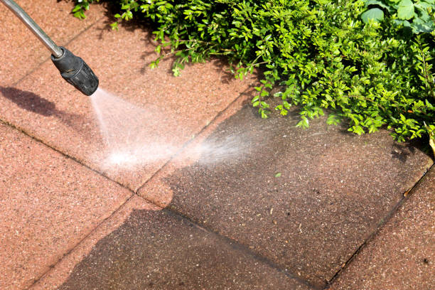 Best Residential Pressure Washing Services  in Beverly Hills, FL